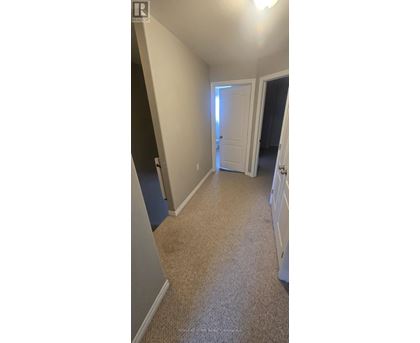 A hallway with a carpeted floor and a white door.