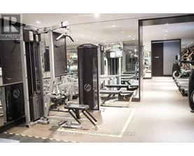 A gym with a variety of equipment including treadmills, weights and exercise machines.