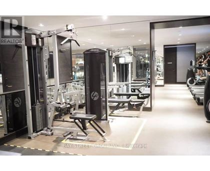 A gym with a variety of equipment including treadmills, weights and exercise machines.