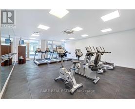 A gym with a row of treadmills and exercise bikes.