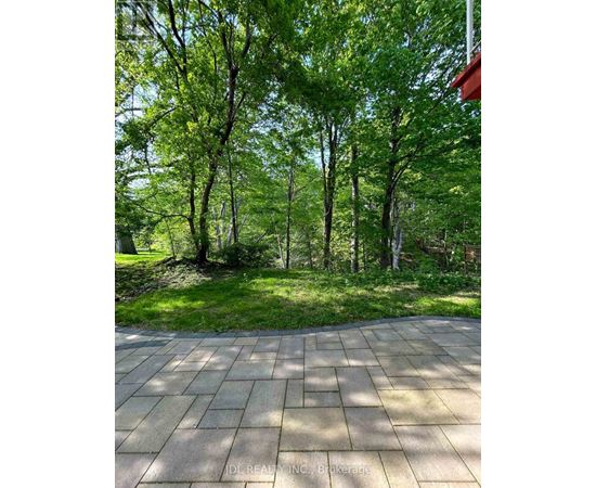 A walkway in a park with trees on either side.