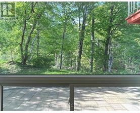 A view of a green forest from a window.