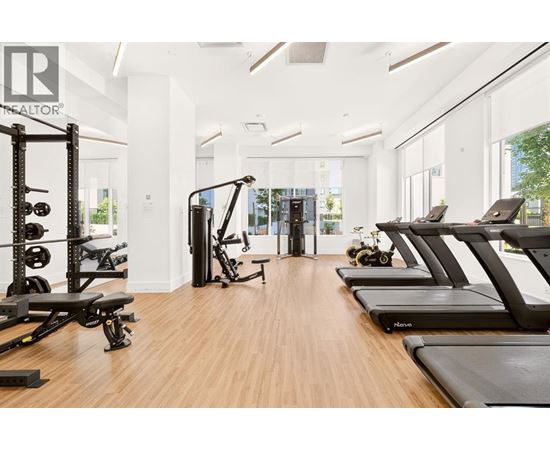 A gym with treadmills, weights, and exercise equipment.
