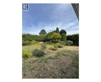 A garden with a variety of plants and trees.