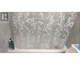 A shower curtain with a tree pattern is displayed.