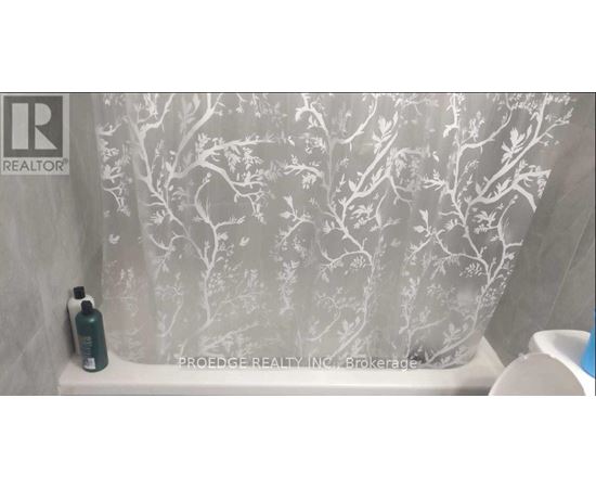 A shower curtain with a tree pattern is displayed.