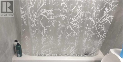 A shower curtain with a tree pattern is displayed.