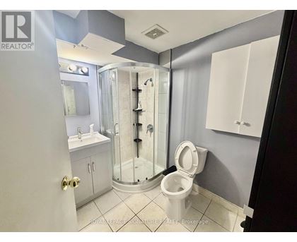 A bathroom with a walk-in shower and a toilet.