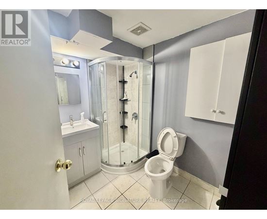 A bathroom with a walk-in shower and a toilet.