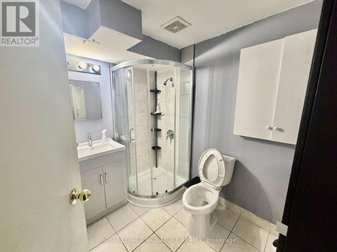 A bathroom with a walk-in shower and a toilet.