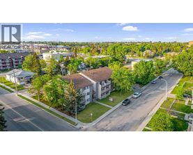 A sunny day in a residential area with houses and trees.