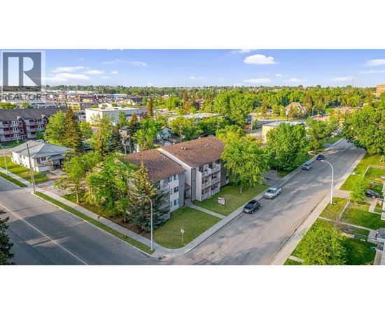 A sunny day in a residential area with houses and trees.