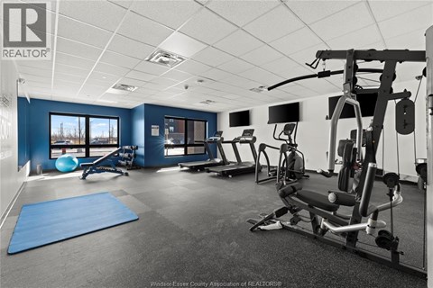 A gym with a variety of equipment including a treadmill, weights, and a bench press.