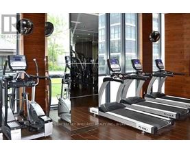 A gym with treadmills and exercise bikes.