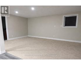 A room with a window and carpeted floor.