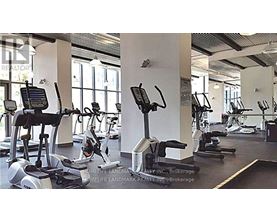 A gym with treadmills and elliptical machines.