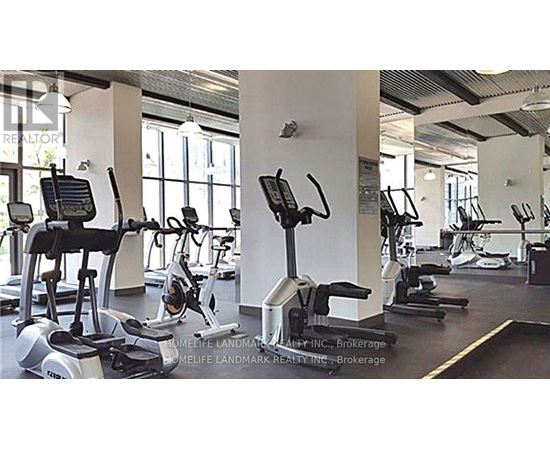 A gym with treadmills and elliptical machines.