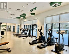 A gym with treadmills, elliptical machines, and a rowing machine.