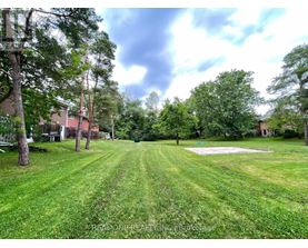 A grassy field with trees and a building in the background.
