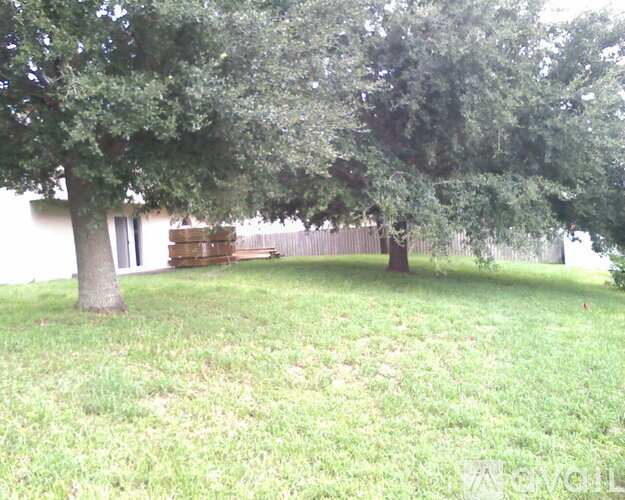 A tree in a yard with a house in the background.