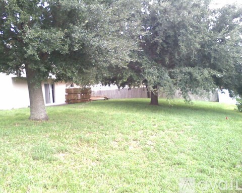 A tree in a yard with a house in the background.