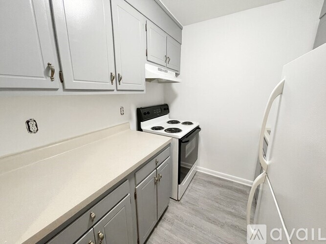 45 Maynard Street 1 Apartment for Rent - Photo gallery 5