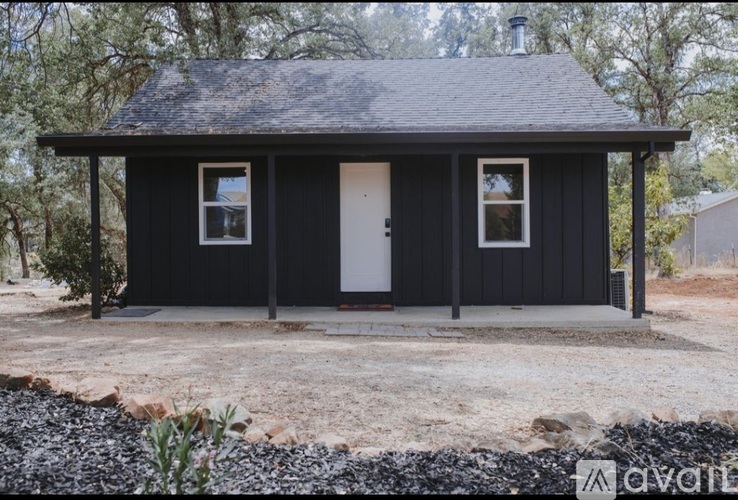 A small black house with a white door and windows is surrounded by gravel and vegetation.