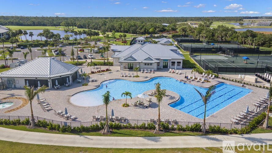 A large outdoor swimming pool surrounded by palm trees and lounge chairs.