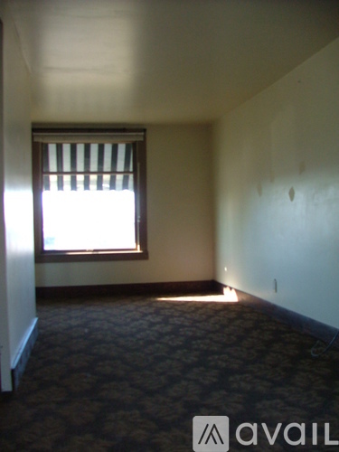 A carpeted room with a window and no furniture.