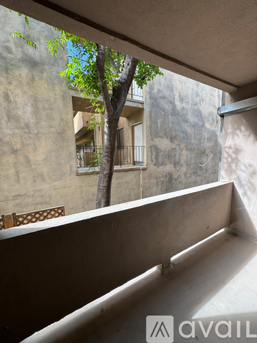 A tree in a courtyard with a bench and a building in the background.