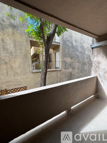 A tree in a courtyard with a bench and a building in the background.