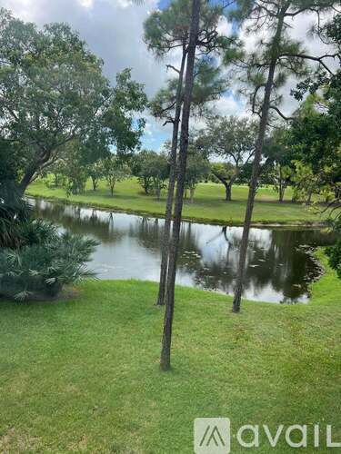 A pond surrounded by trees and grass.