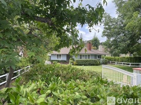 A house is surrounded by greenery and a white fence.