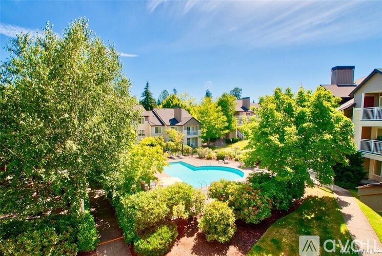 A pool surrounded by green bushes and trees.