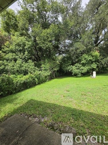 A backyard with a lawn and trees.