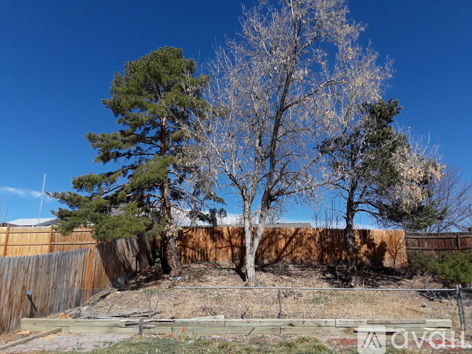 18907 West 61st Avenue 2 Beds Single Family Home for Rent - Photo gallery 2