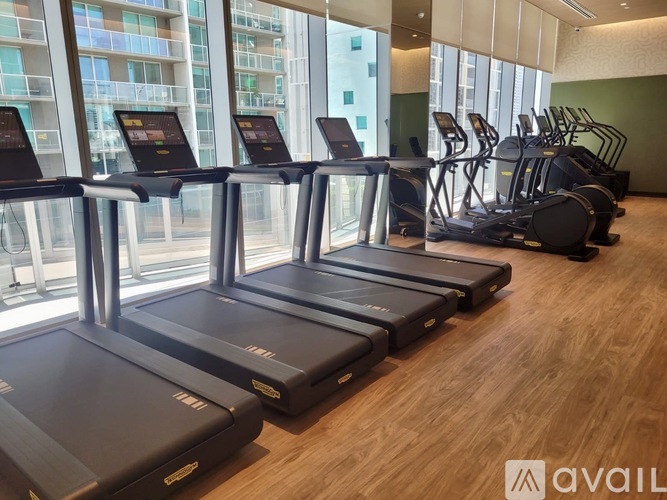 A gym with treadmills and elliptical machines.