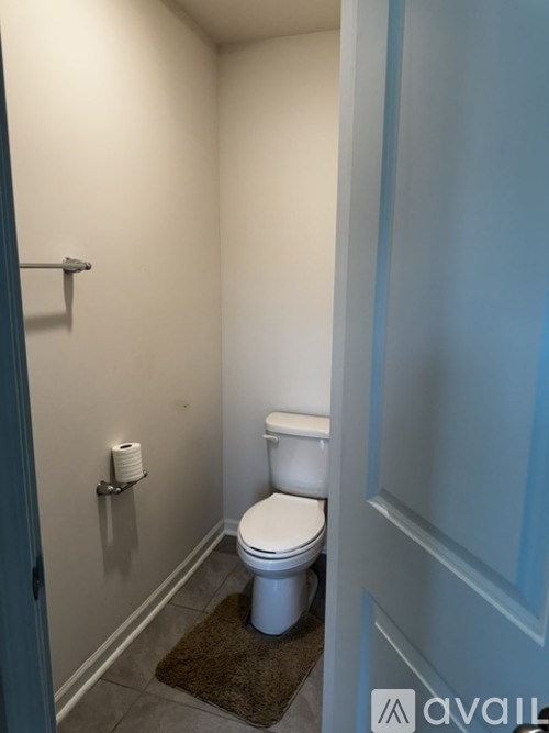 A white toilet in a small bathroom with a brown rug.