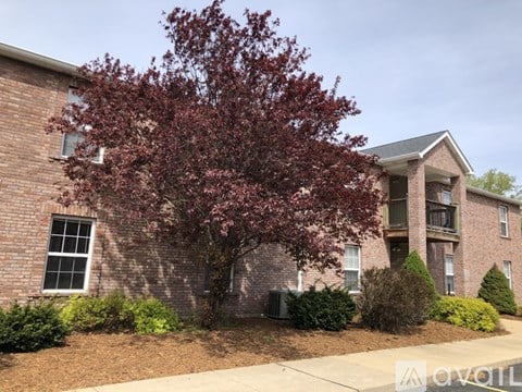 1525 W Pacific St 2 Beds Apartment for Rent