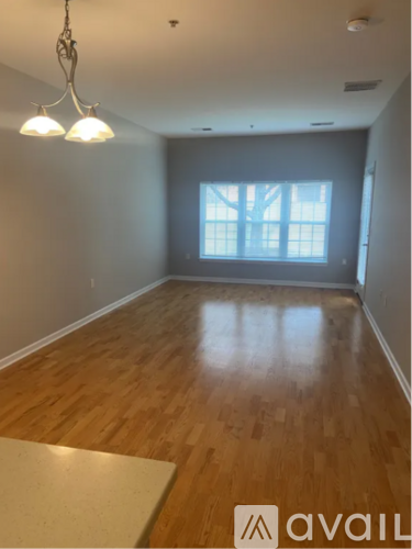 10 Sampson St 2 Beds Apartment for Rent - Photo gallery 4