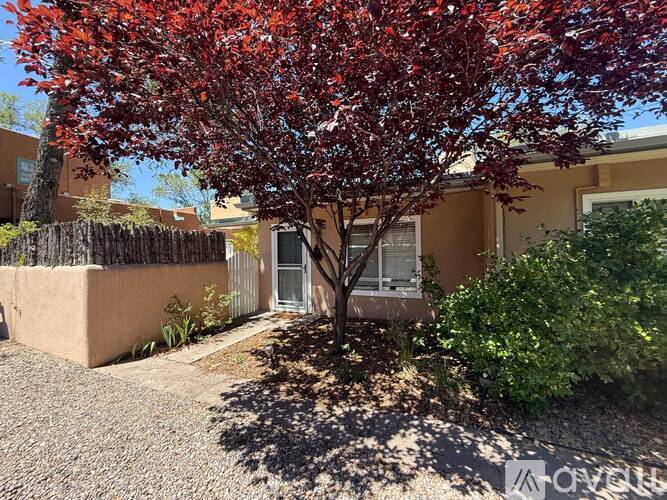 A tree with red leaves is in the front yard of a house.