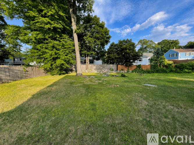 A backyard with a large tree and a fence.