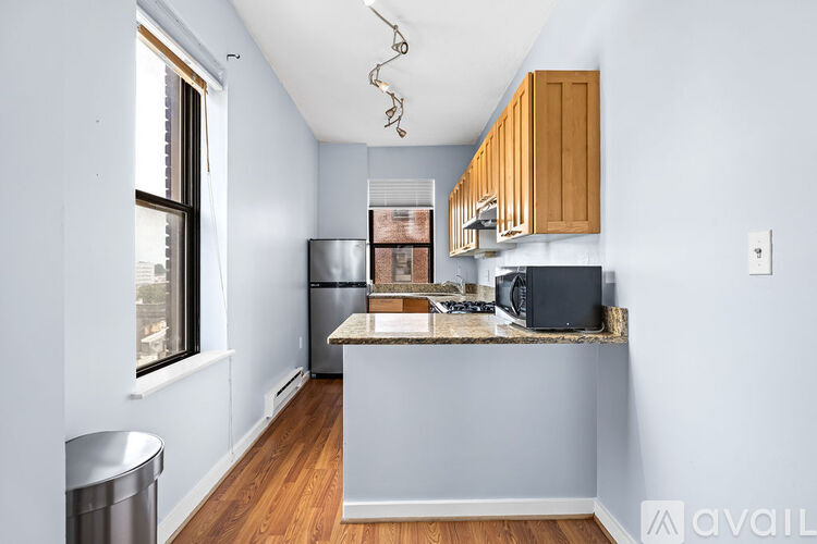 1001 Saint Paul Street 1 Apartment for Rent - Photo gallery 4