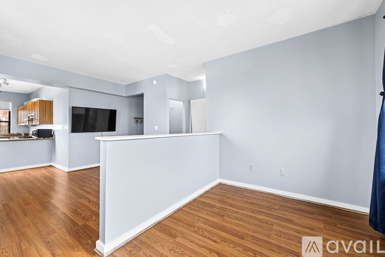 1001 Saint Paul Street 1 Apartment for Rent - Photo gallery 5