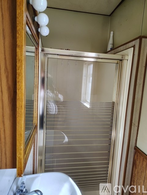 A bathroom with a white sink and a shower with a glass door.