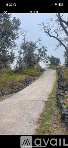 A pathway surrounded by trees and shrubs.