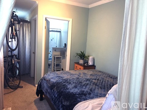 A bedroom with a bed, a mirror, a plant, and a bicycle.