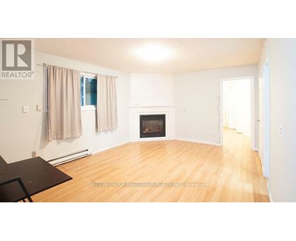 A living room with a fireplace and a dining table.