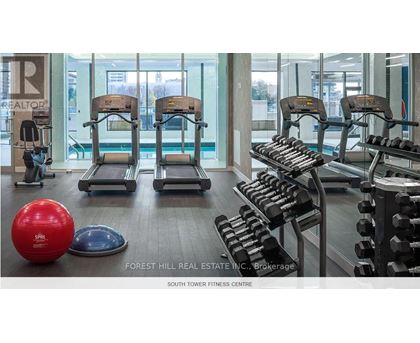 A gym with a red ball, a blue ball, and a rack of dumbbells.