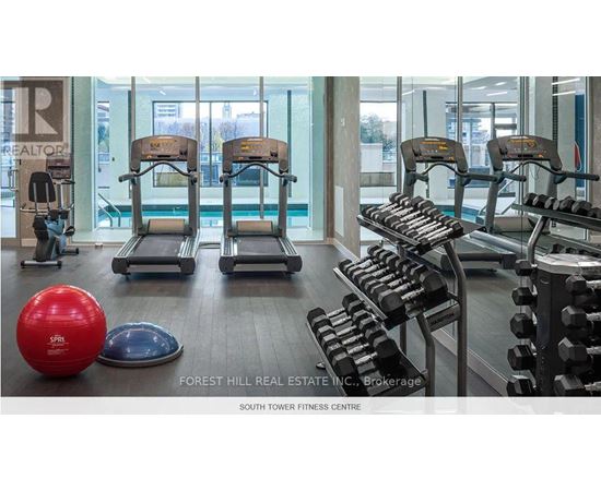 A gym with a red ball, a blue ball, and a rack of dumbbells.